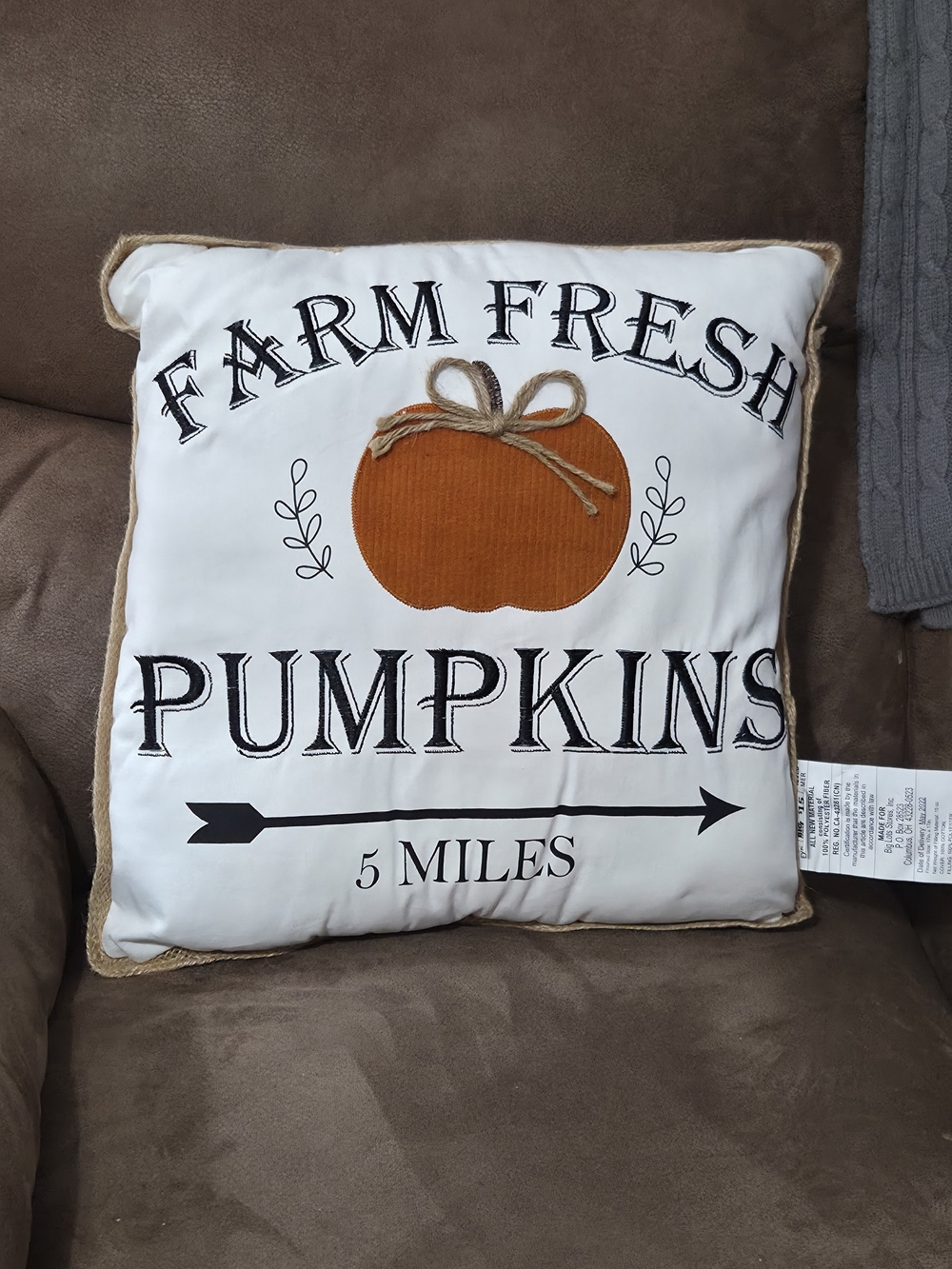 Farm Fresh Pumpkins Decorative Throw Pillow - White with Orange Pumpkin